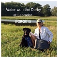Vader won the Derby!